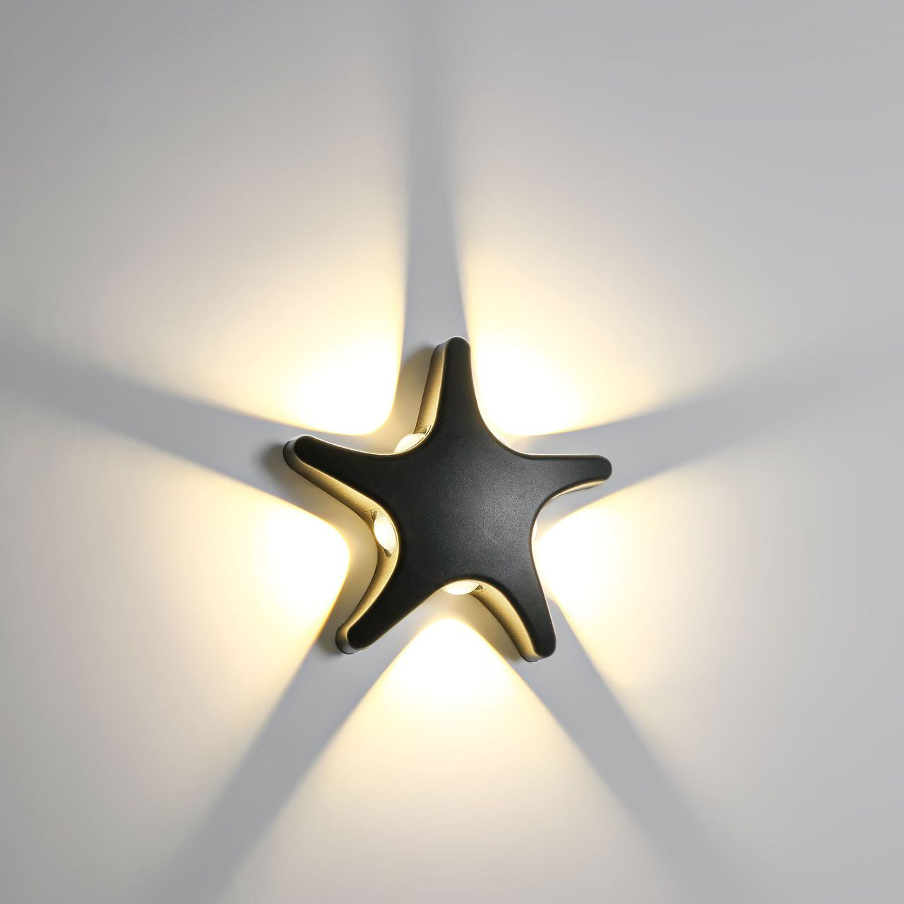Coastal Wall Light  Starfish LED Outdoor Sconce - Product detail 6