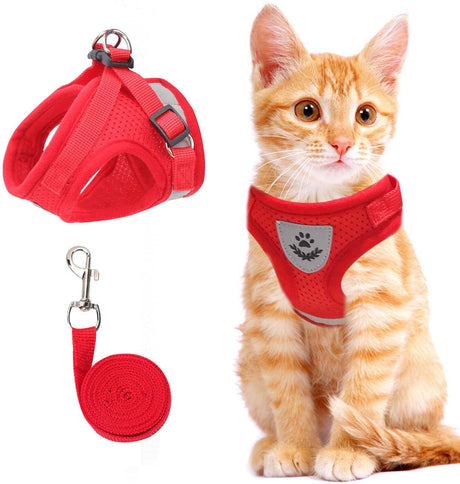 Reflective Cat Harness Set  Safety Mesh Design With Night Visibility - Product detail 6