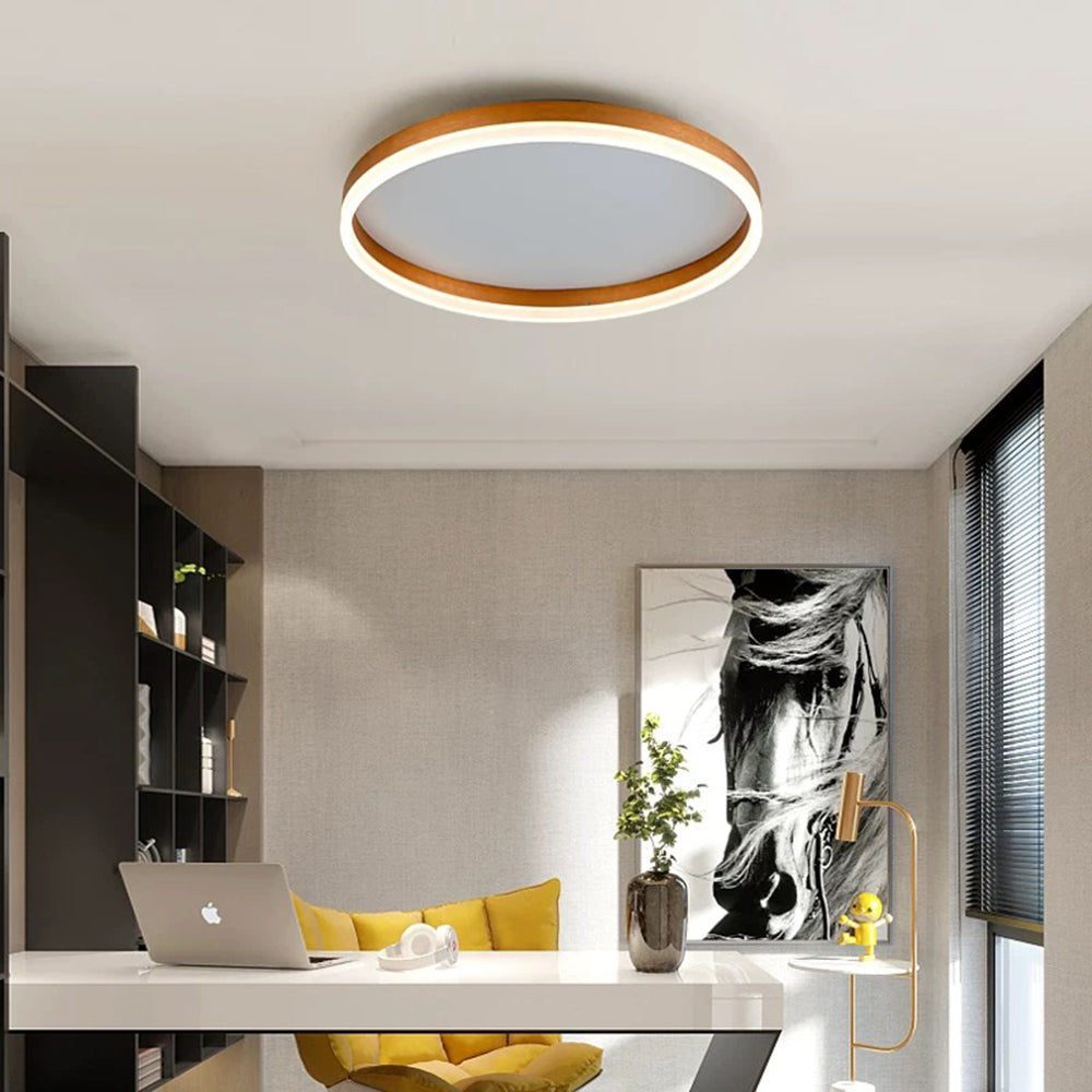 Modern LED Ceiling Light Minimalist Ring Design - Product detail 20