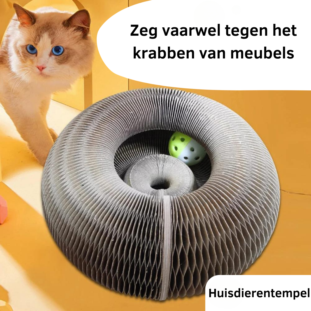 Interactive Cat Scratcher Toy  Collapsible Play Ring With Ball - Product detail 4