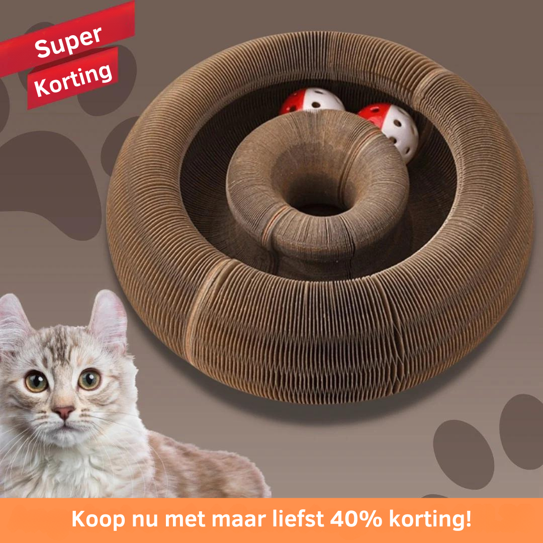 Interactive Cat Scratcher Toy  Collapsible Play Ring With Ball - Detailed view