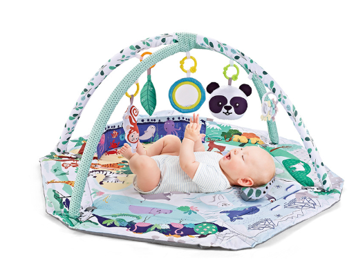 Baby Activity Play Mat 8-in-1 Sensory Development Center - Product showcase
