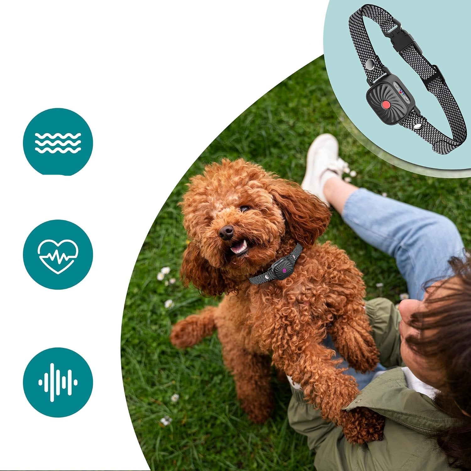 Anti Bark Dog Collar  Humane Training Device with Adjustable Fit - Product example