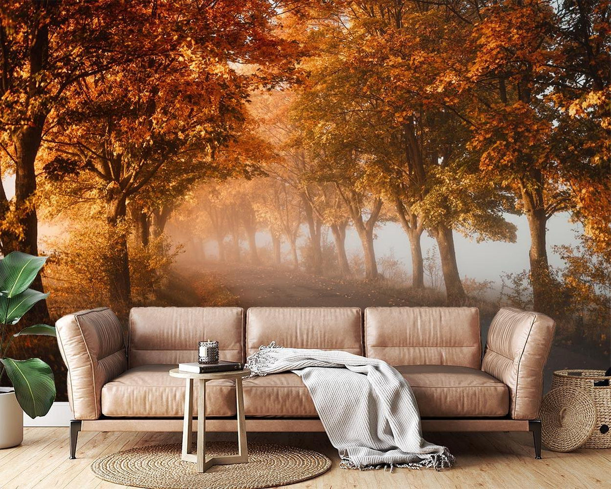 Forest Mural Wallpaper | Misty Autumn Path