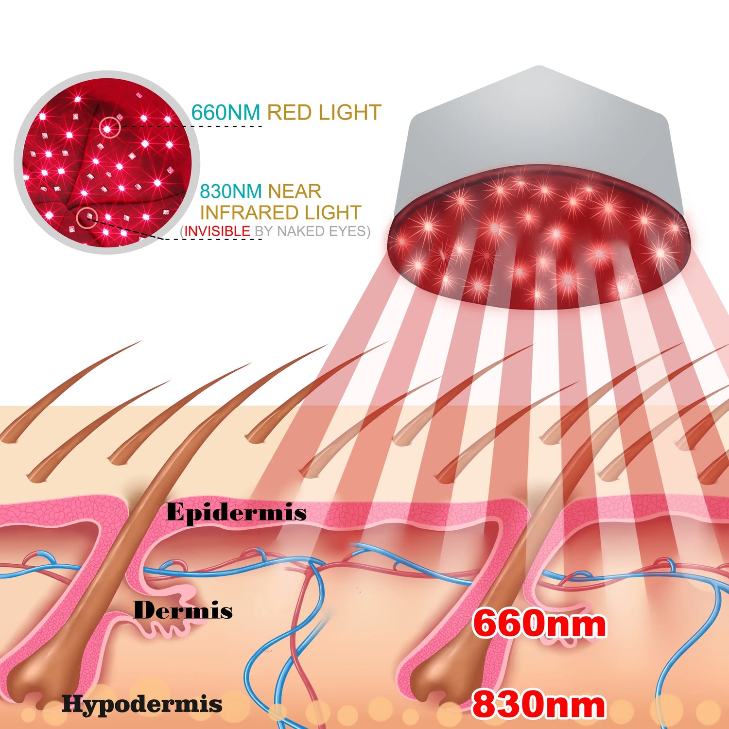 Red Light Therapy Cap  LED Hair Growth Device - Product detail 9