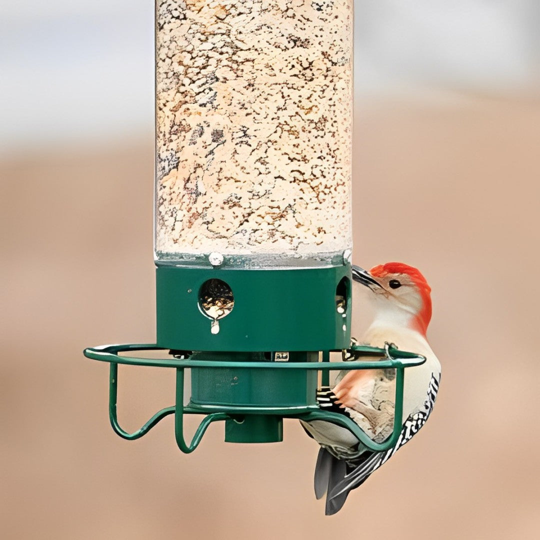Squirrel Proof Bird Feeder Weight Activated Anti Squirrel Design - Product example