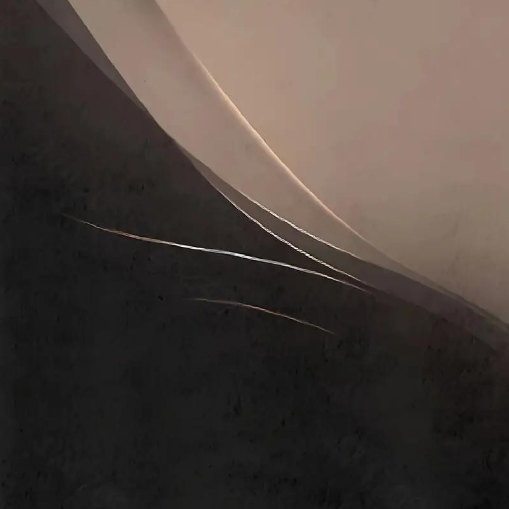 Modern Gradient Zipper Top Two-Tone Casual Design - Product example