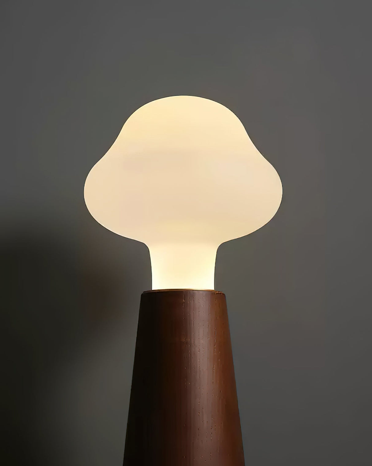 Cloud Table Lamp  Natural Wood Base with LED Light - Product detail 21