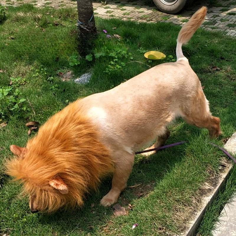 Lion Mane Dog Costume  Adjustable Plush Halloween Pet Wig - Detailed view
