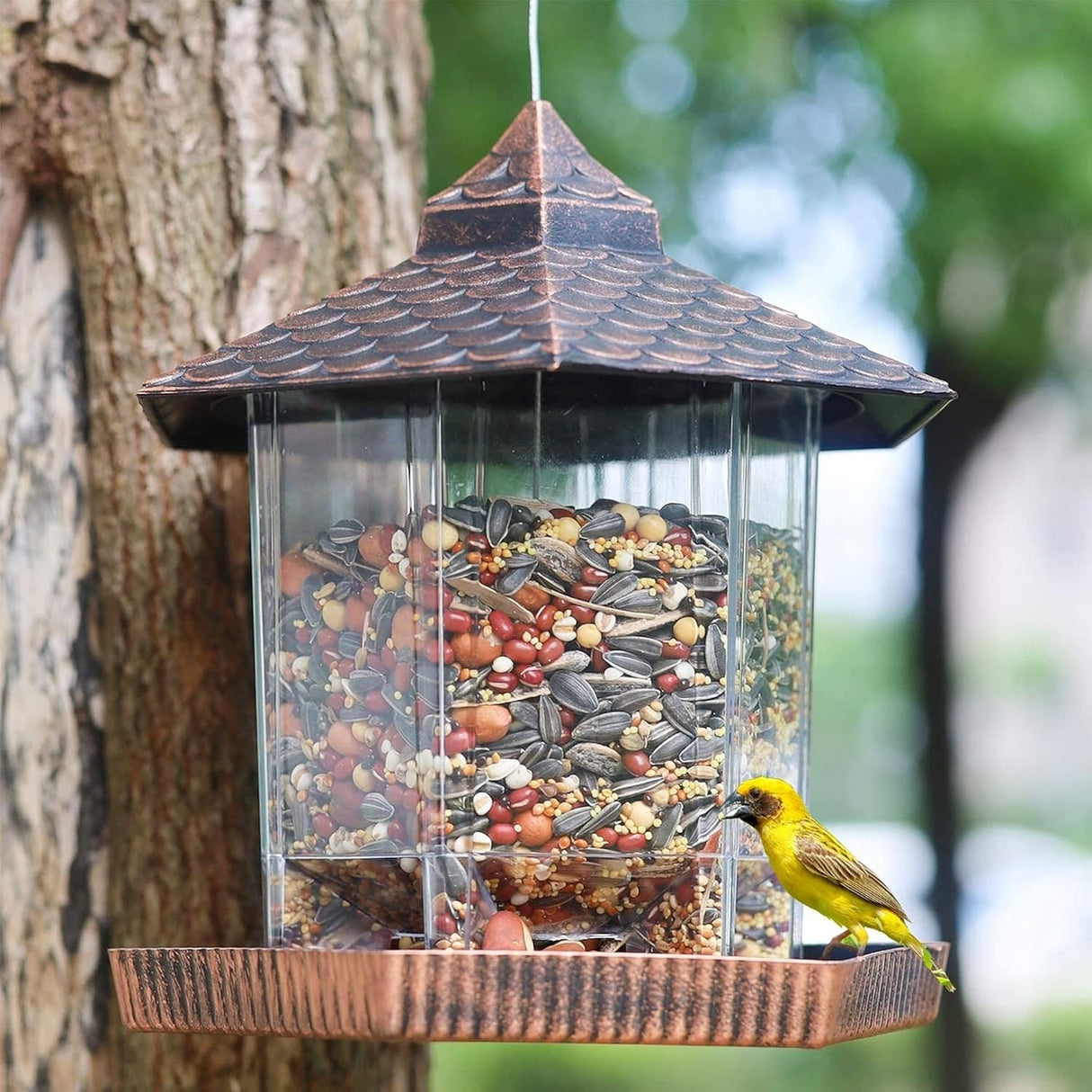 Hanging Bird Feeder Copper Roof Clear Container Design - Detailed view