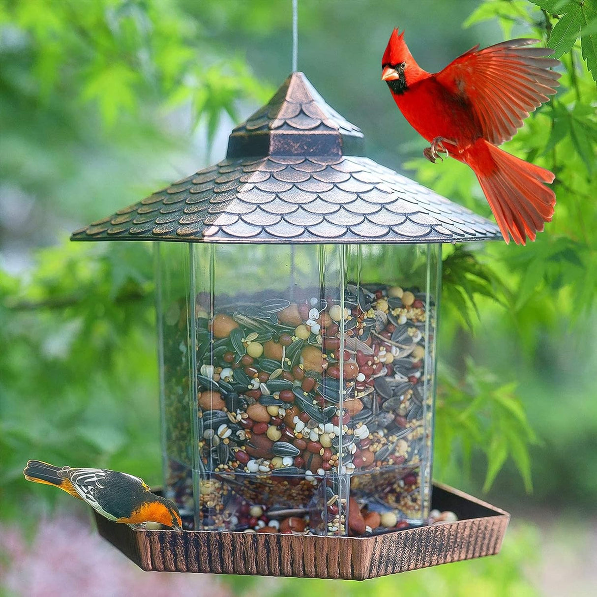 Hanging Bird Feeder Copper Roof Clear Container Design - Product detail 4