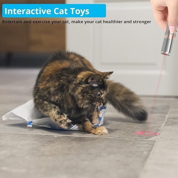 Interactive Cat Laser Toy Rechargeable Stainless Steel with 5 Patterns - Product example