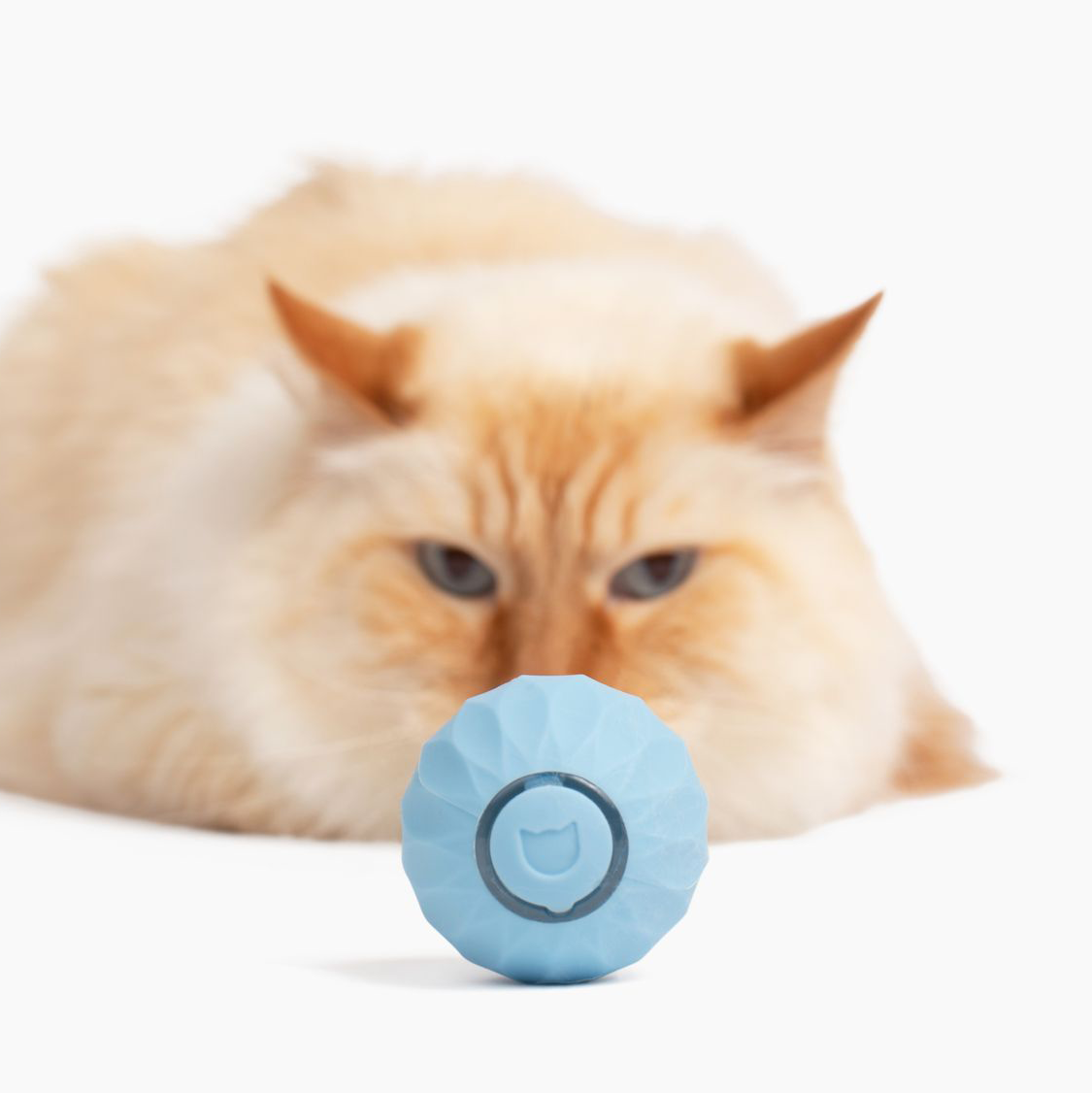 Interactive Cat Toy Ball Self-Rolling Motion Activated - Product detail 4