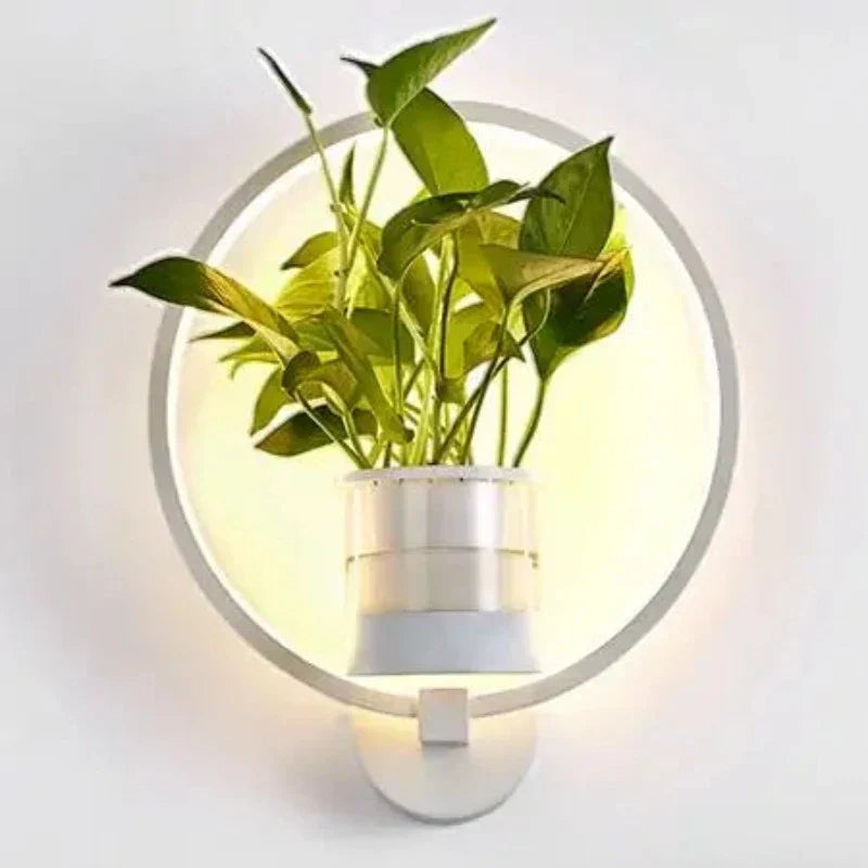 Modern Plant Wall Lamp Circular Glass Display Light - Product detail 6