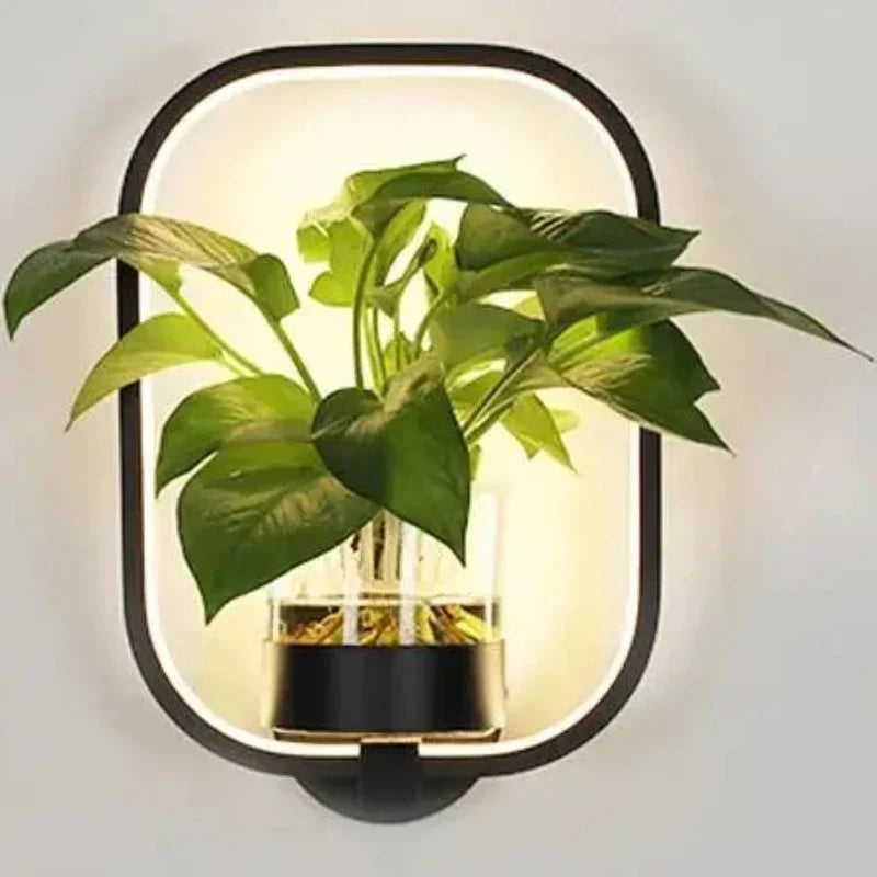 Modern Plant Wall Lamp Circular Glass Display Light - Product detail 9