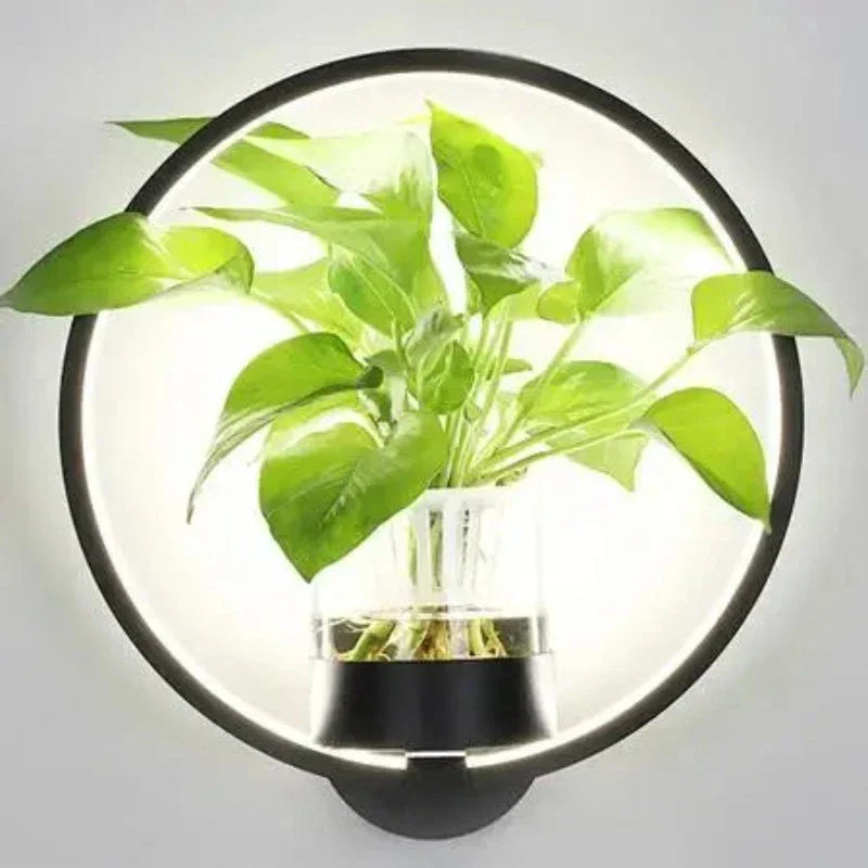 Modern Plant Wall Lamp Circular Glass Display Light - Product detail 7