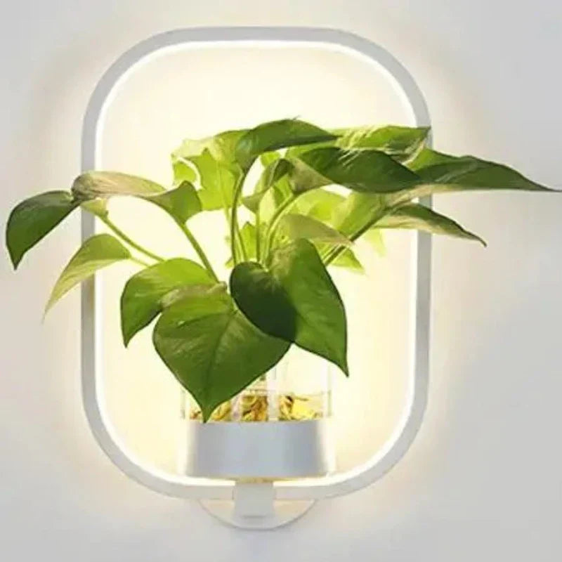 Modern Plant Wall Lamp Circular Glass Display Light - Product detail 8