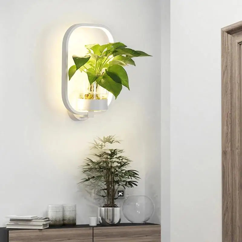Modern Plant Wall Lamp Circular Glass Display Light - Detailed view
