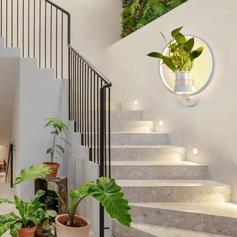 Modern Plant Wall Lamp Circular Glass Display Light - Product showcase
