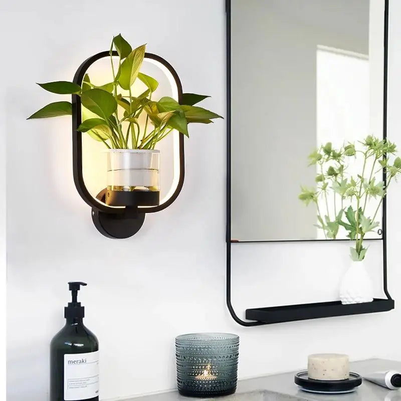Modern Plant Wall Lamp Circular Glass Display Light - Product example