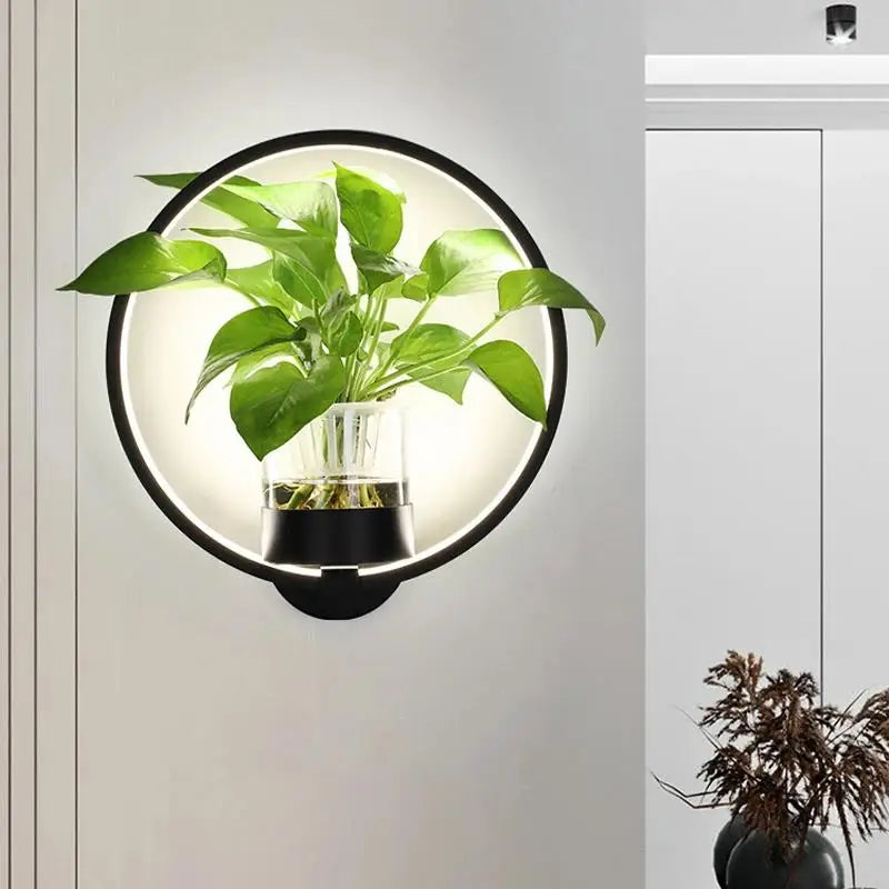 Modern Plant Wall Lamp Circular Glass Display Light - Product detail 4