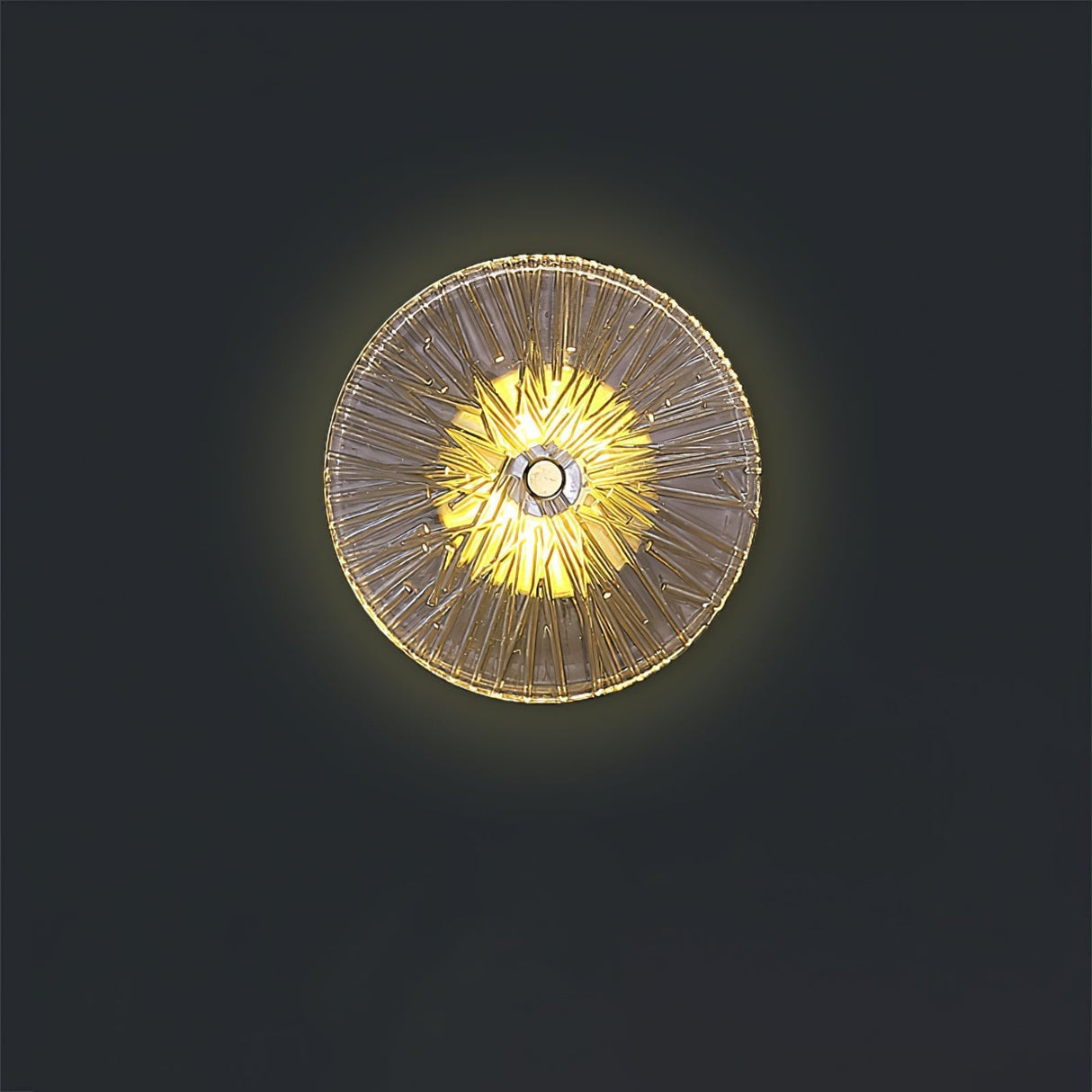 Modern Lotus Wall Light Textured Glass Disc Design - Product detail 33