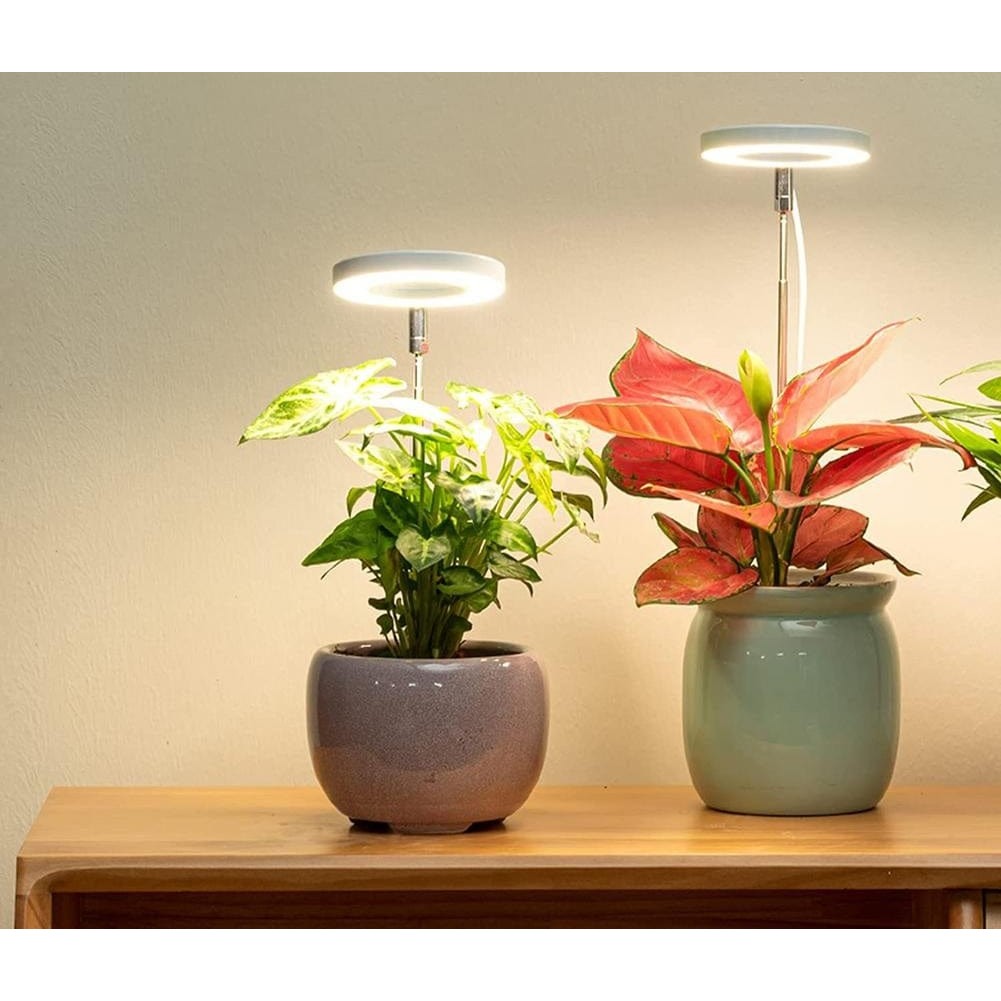 LED Grow Light Full Spectrum Indoor Plant Lamp with Adjustable Height - Product showcase