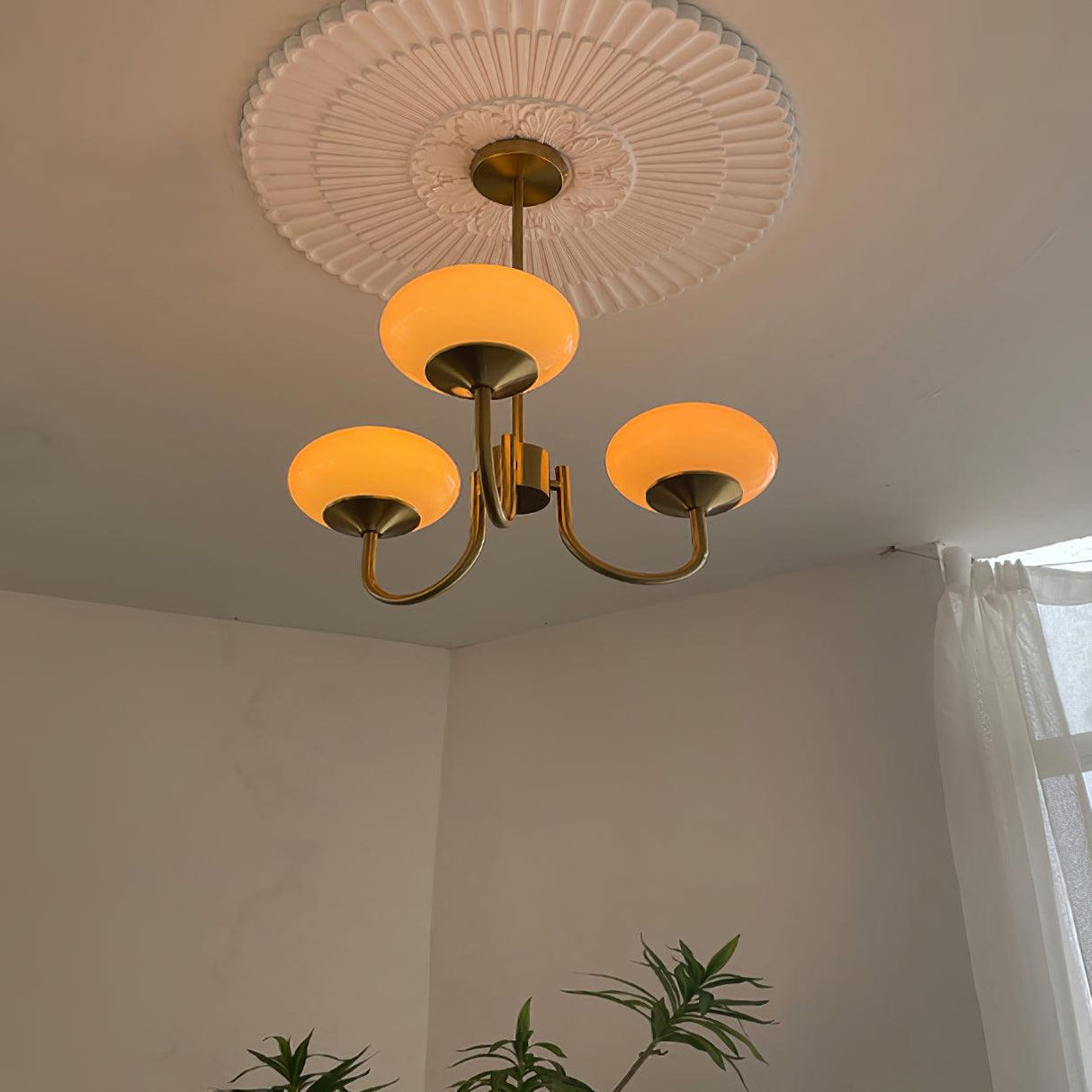 Modern Globe Chandelier Pink Glass with Brass Arms - Product detail 18