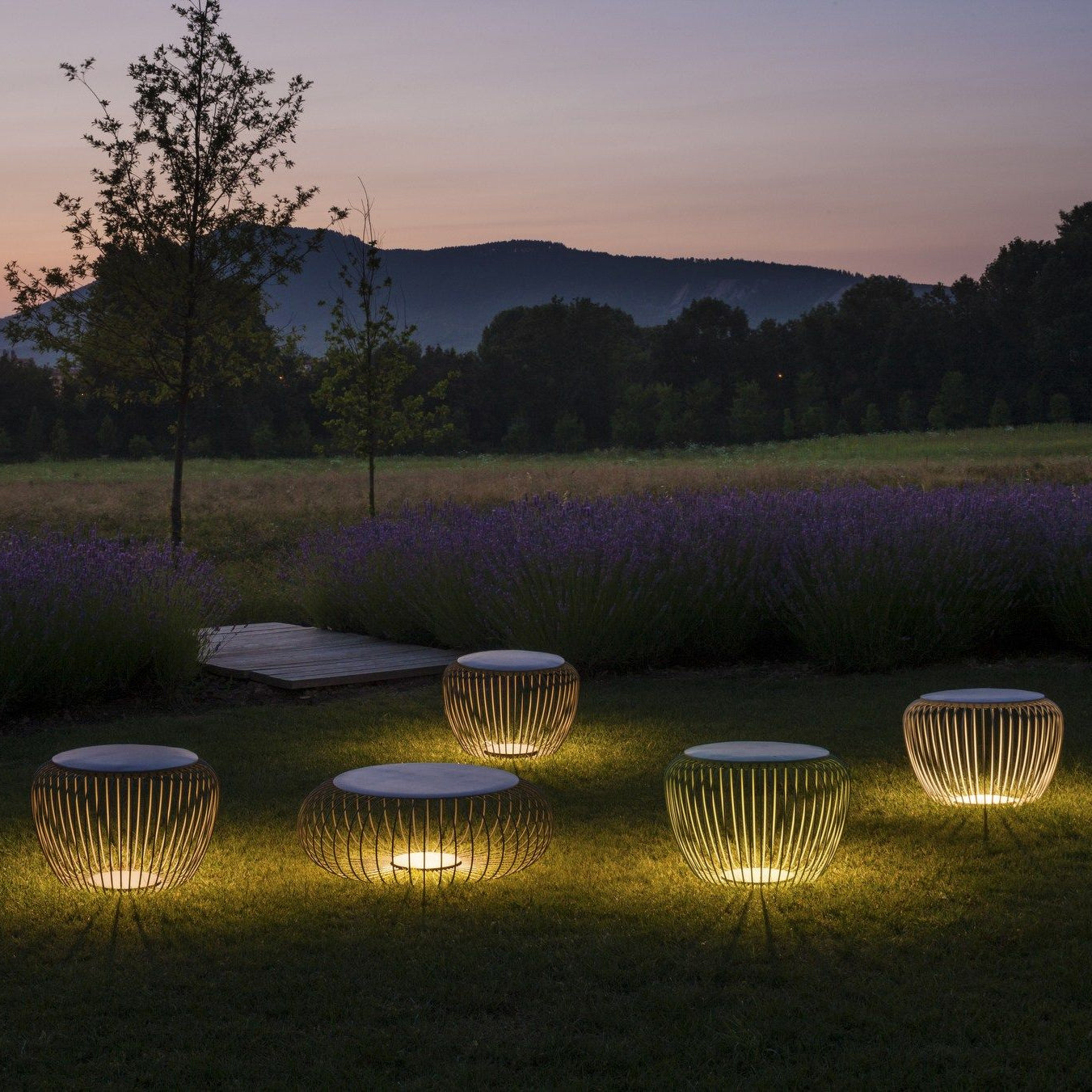Modern LED Table Lamp  Wire Mesh Dome Design - Product detail 20