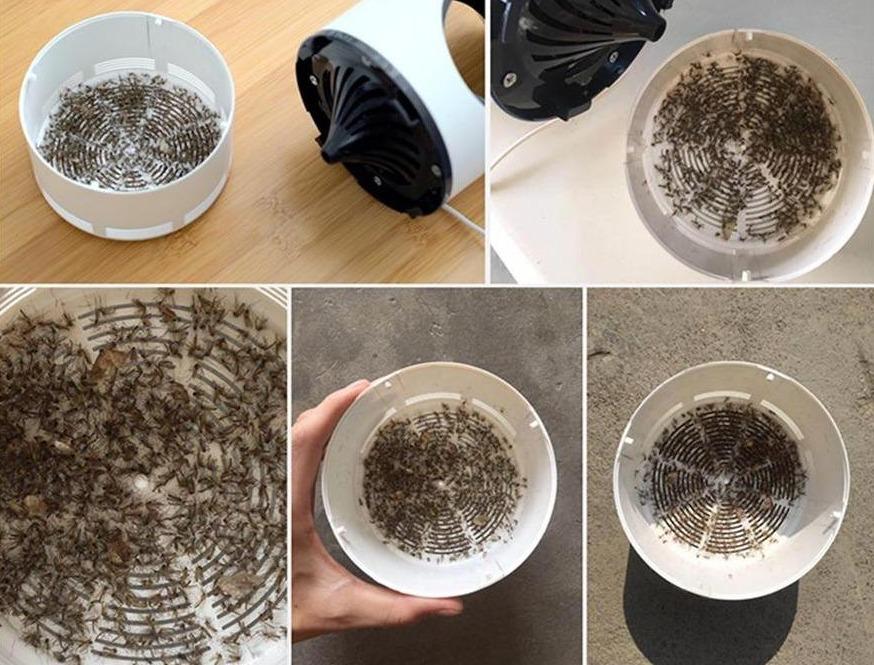 UV Mosquito Killer Lamp Silent Fan Trap Technology - Product detail 6