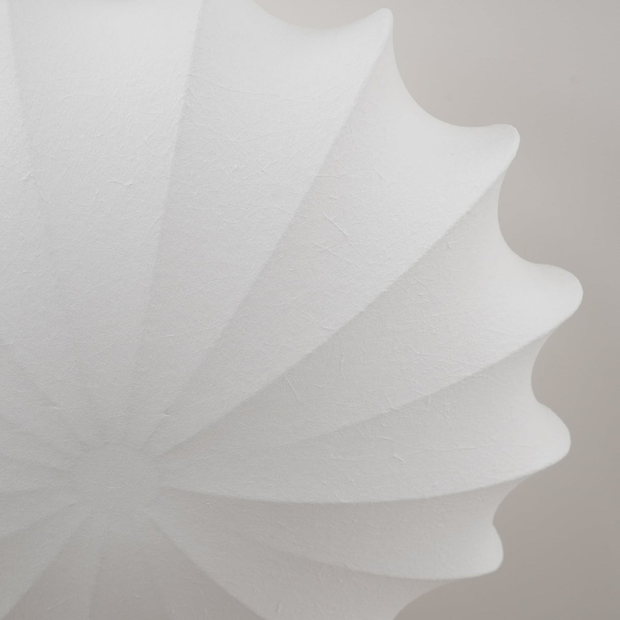 Shell Ceiling Light Elegant Fluted Design - Product detail 10