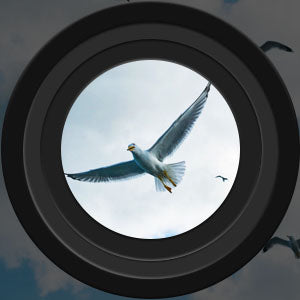 Waterproof Binoculars 60x60 High Magnification Night Vision - Product detail 6