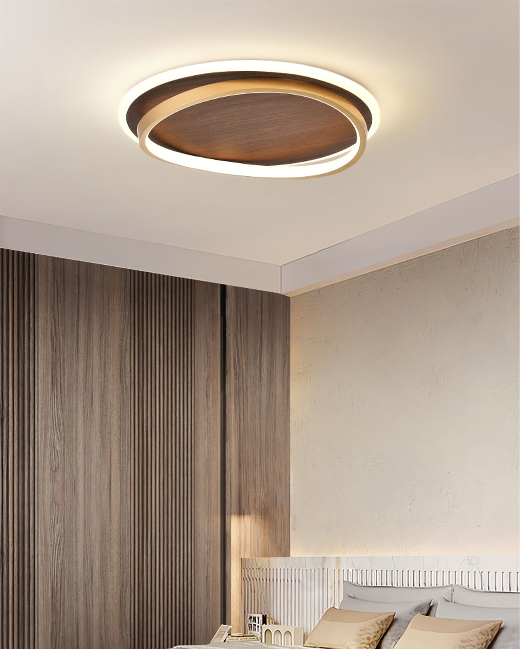 Modern Ceiling Light Dual Ring LED Design - Product example
