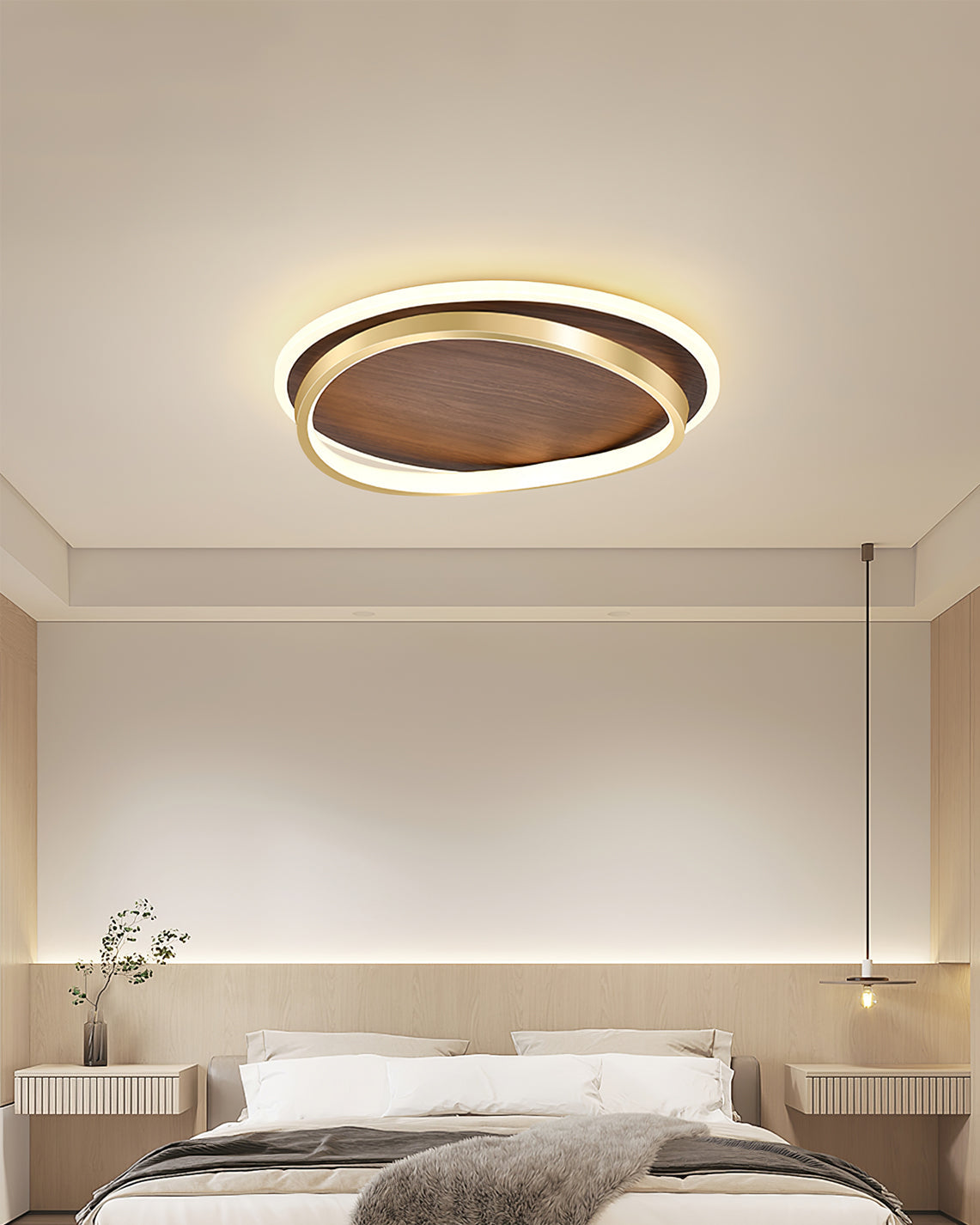 Modern Ceiling Light Dual Ring LED Design - Product detail 6