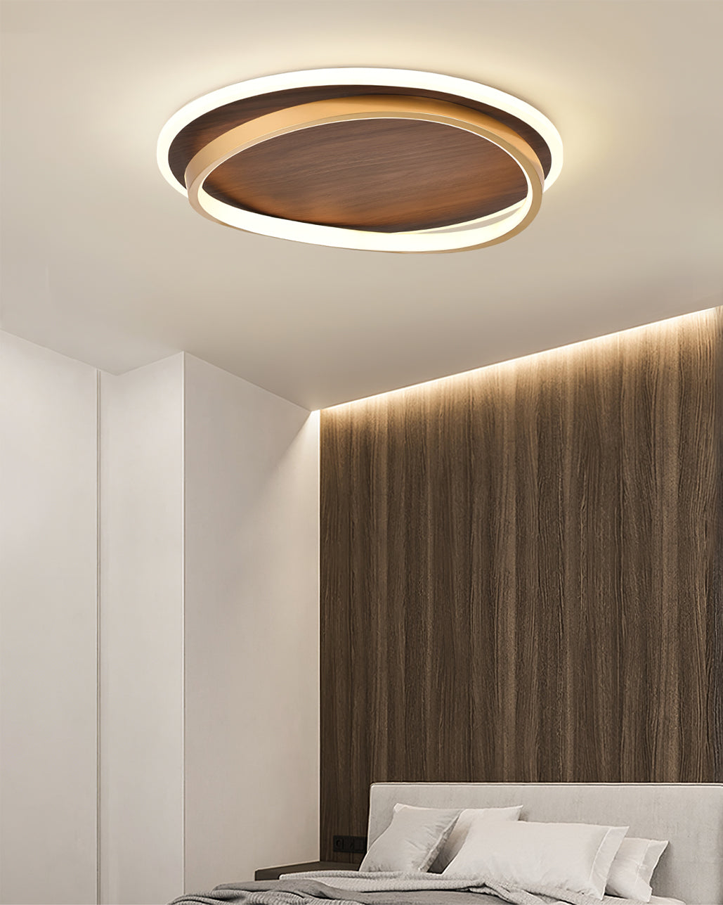 Modern Ceiling Light Dual Ring LED Design - Product detail 9