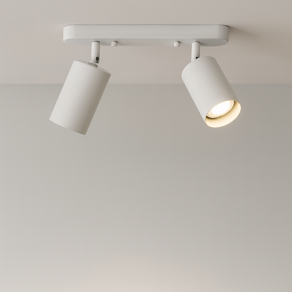 Modern Adjustable Spot Ceiling Light Dual Head Track Lighting - Product detail 4