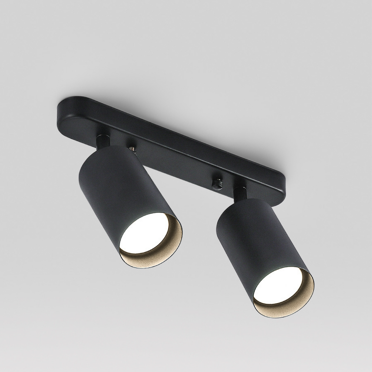 Modern Adjustable Spot Ceiling Light Dual Head Track Lighting - Product detail 5