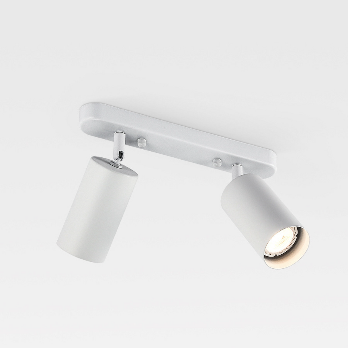 Modern Adjustable Spot Ceiling Light Dual Head Track Lighting - Product detail 6