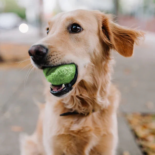 Interactive Dog Ball Toy  Automatic Rolling Motion Technology - Product showcase