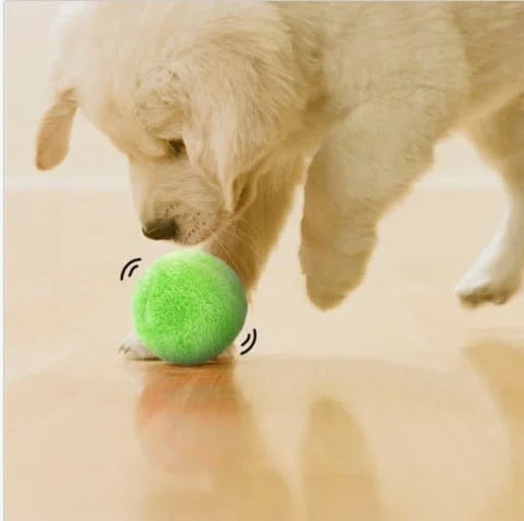 Interactive Dog Ball Toy  Automatic Rolling Motion Technology - Product example