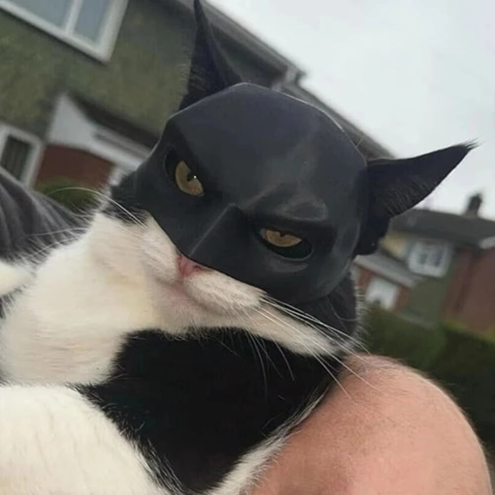 Batman Cat Mask Black PLA Superhero Pet Costume - Product showcase