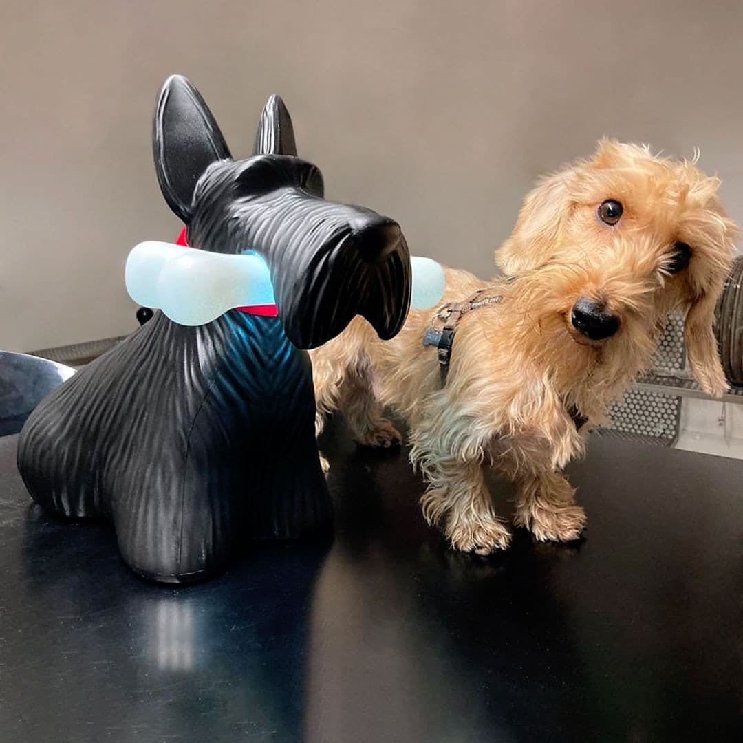 Scottie Dog Table Lamp LED Black Resin Design - Product detail 33