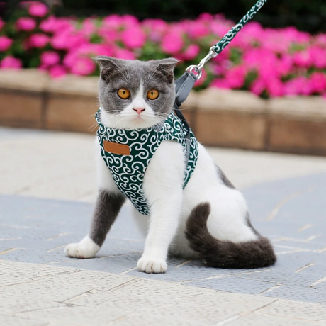 Japanese Pattern Cat Harness  Navy Blue Wave Design With Leash - Detailed view