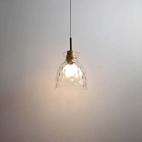 Modern Glass Pendant Light  Clear Dome Shades with Wood Accent - Product detail 9