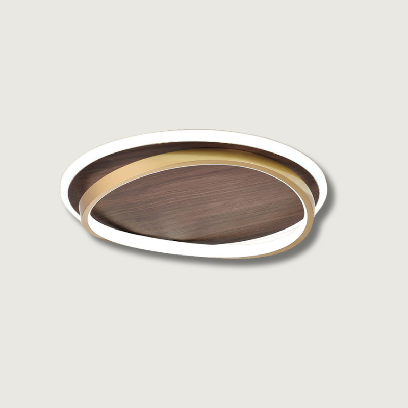 Modern Ceiling Light Dual Ring LED Design - Product showcase