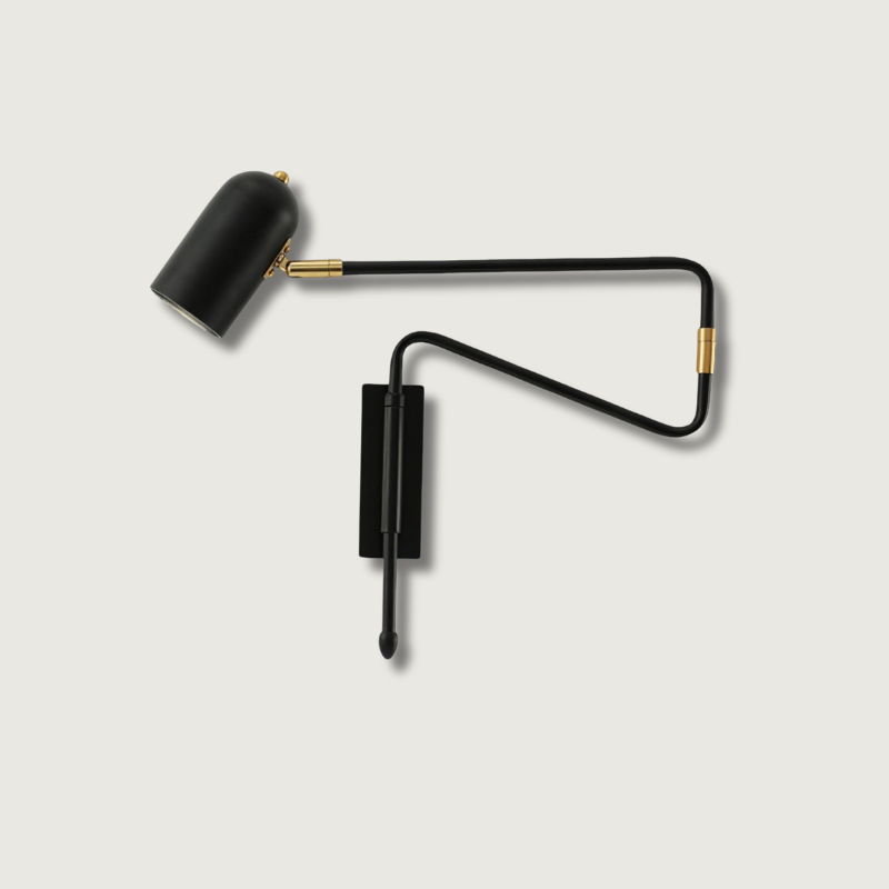 Modern Wall Lamp Adjustable Arm with Brass Accents - Product showcase