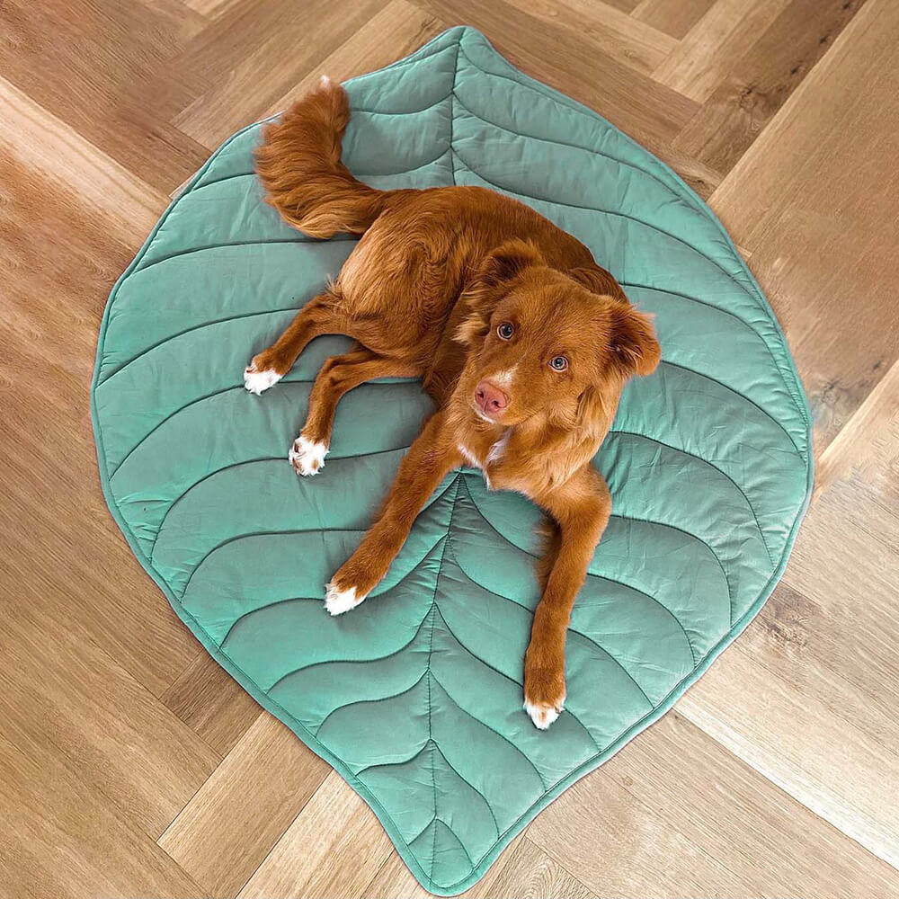 Leaf Shaped Pet Blanket Mat Quilted Cotton Polyester Blend - Product detail 10