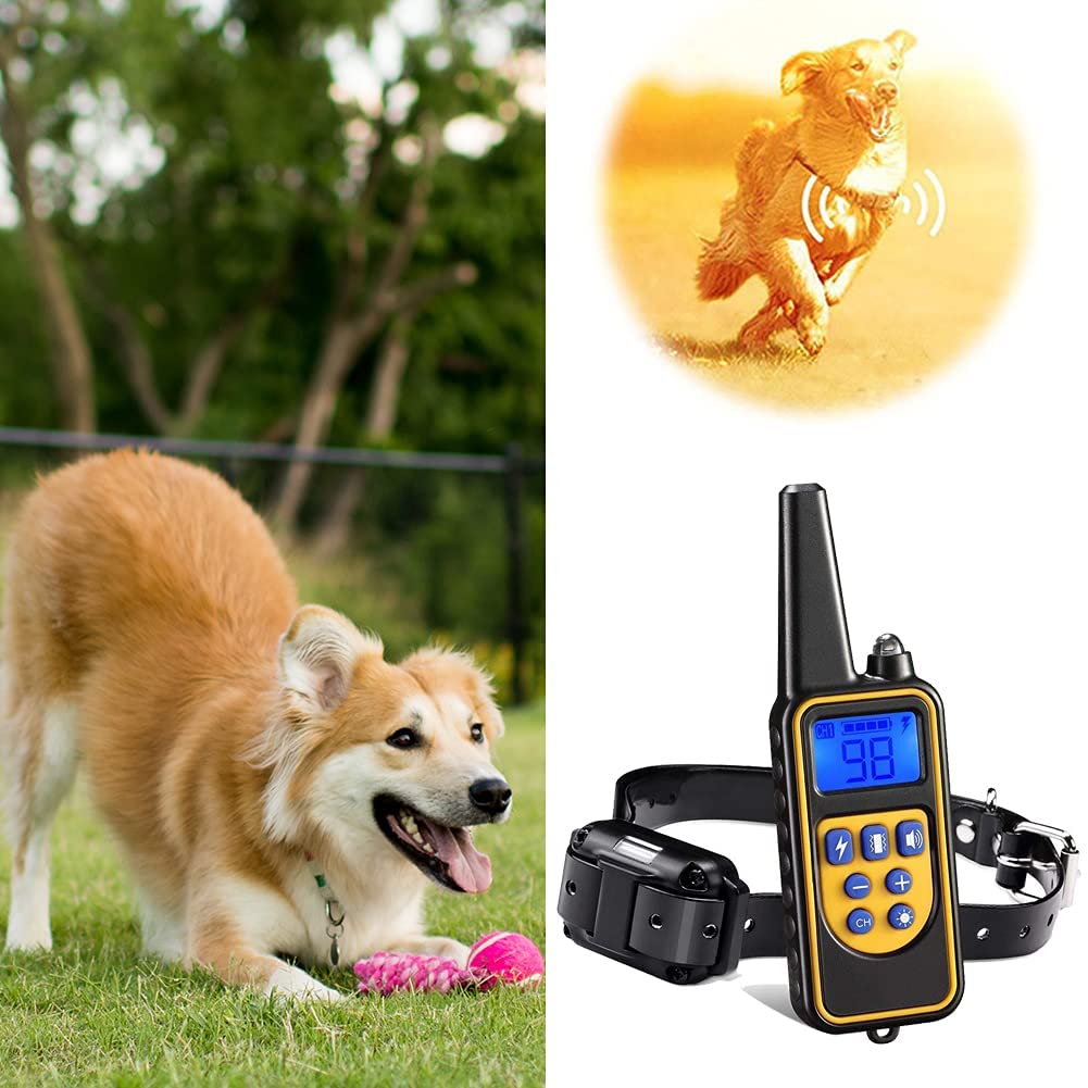 Remote Dog Training Collar Waterproof Rechargeable Design - Detailed view
