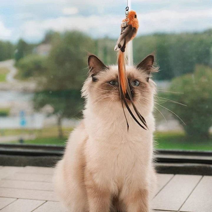 Interactive Cat Wand Toy  Realistic Flying Bird Simulation - Detailed view
