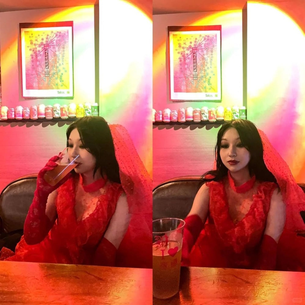 Womens Gothic Maxi Costume Gown Lace Halloween Dress - Detailed view